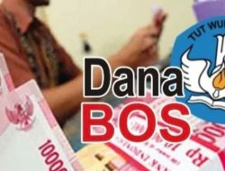 Ada Perubahan Kebijakan Dana Bos, Cek 3 Jenis Dana BOSP 2023