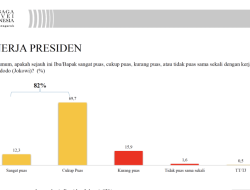 LSI: Tingkat Kepuasan Publik Terhadap Kinerja Jokowi Mencapai 82 Persen