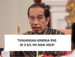 Jokowi Menyetujui Kenaikan Tukin PNS di 3 Kementerian atau Lembaga Tertentu pada Tahun 2023, Berapa Jumlahnya? Cek di Sini!