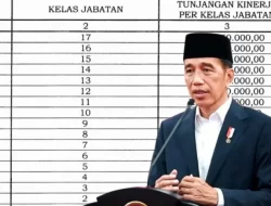 Jokowi Umumkan Kenaikan Tukin PNS Terbaru, Simak Nominalnya dan Terima Kasih Pak