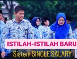 Mengenal Istilah-Istilah Baru dalam Sistem Gaji Pokok PNS: Apa yang Harus Diketahui Selain STEP? Rencana Implementasi di Tahun Depan.