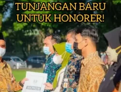 Tunjangan Baru Honorer dari Pemerintah Mulai Tahun Ini, Cek Sekarang!