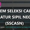 Cara Mudah Cek Nilai SKD CPNS 2024 – Pantau Hasil Tes dengan Praktis!