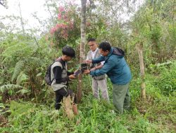 Mengintip Aksi Beruang di Lampung Barat: Tim Pasang Kamera Jebak!