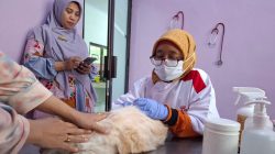 Vaksinasi Rabies: 1.580 Hewan Peliharaan di Lampung Terlindungi oleh UPTD Kesehatan Hewan