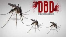 Peringatan DBD di Musim Hujan: Tanggamus Siap Beraksi!