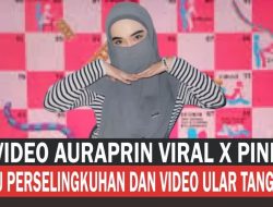 Misteri Video “Ular Tangga Pink” yang Viral di TikTok, Siapa Sebenarnya Auraprin? Cek Fakta Lengkapnya di Sini!