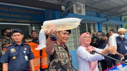 Gagalkan Penyelundupan 52 Ribu Benih Lobster: KKP Berhasil Selamatkan Sumber Daya Alam di Lampung