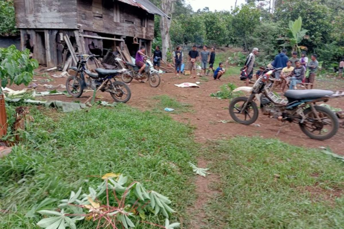 Tragedi Memilukan: Suarni Diserang Gajah Liar di Tanggamus Lampung