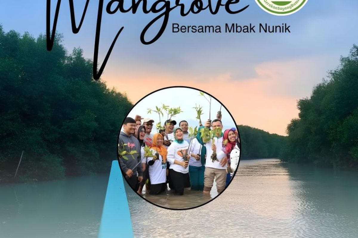 Exploring the Mangrove Festival with Mbak Nunik in East Lampung