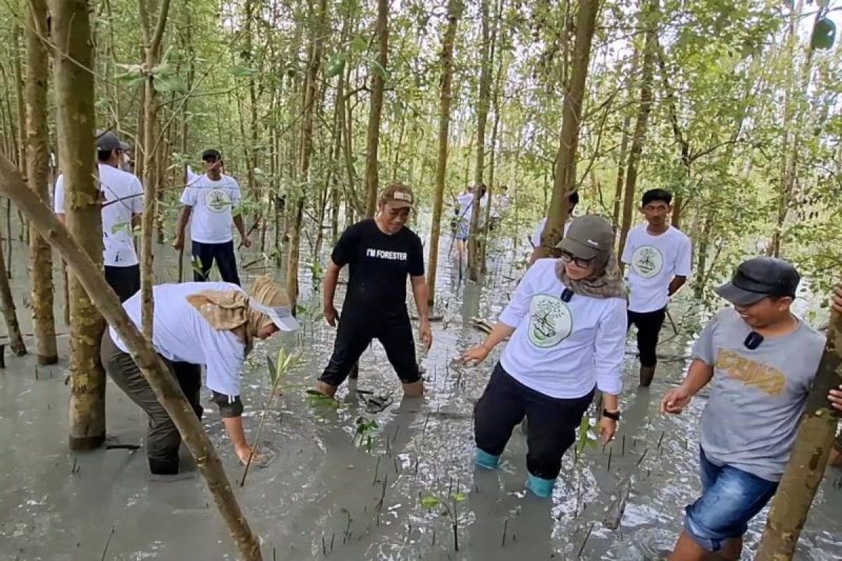 Urgensi Pelestarian Mangrove: Ajakan Bupati Lamtim Ela Siti Nuryamah