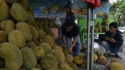 Nikmatnya Durian Lampung: Wisata dan Kuliner yang Tidak Boleh Dilewatkan