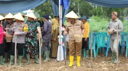 Ardito Bergabung dalam Penanaman 1 Juta Hektar Jagung Bersama Komunitas