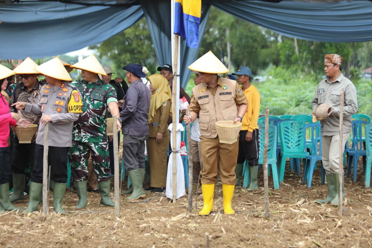 Ardito Bergabung dalam Penanaman 1 Juta Hektar Jagung Bersama Komunitas