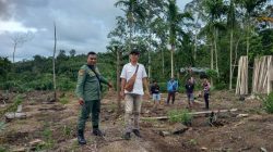 Patroli Petugas Gabungan untuk Menangkal Serangan Harimau di Pesisir Barat