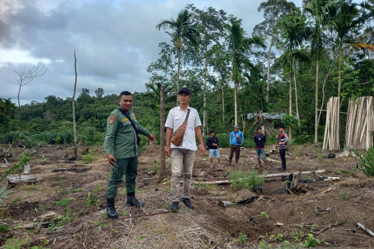 Patroli Petugas Gabungan untuk Menangkal Serangan Harimau di Pesisir Barat