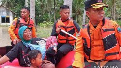 Banjir Melanda Enam Kecamatan di Lampung Selatan: Dampak dan Penanganan