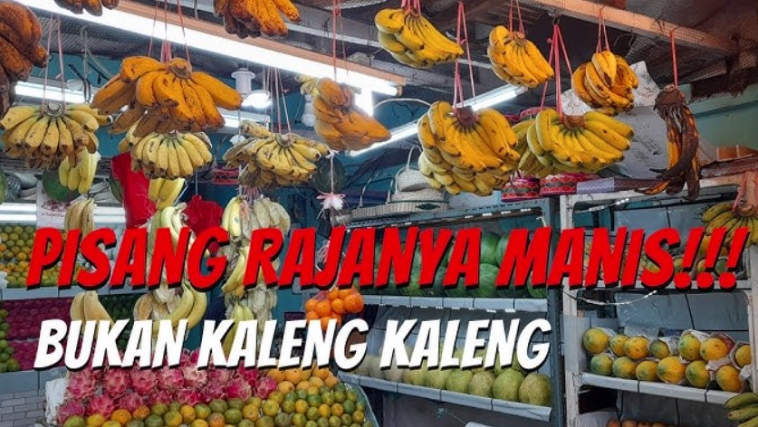 Pisang Raja: Manfaat, Jenis, Budidaya, dan Potensi Bisnis