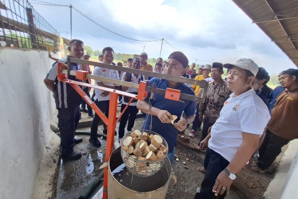 DPD RI Mendorong Digitalisasi Alat Ukur Kadar Pati dan Timbangan Ubi Kayu: Mengapa Penting?