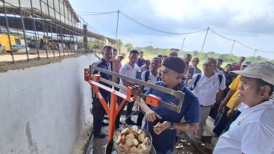 Mengapa Timbangan Ubi Kayu di Lampung Perlu Ditera Ulang?