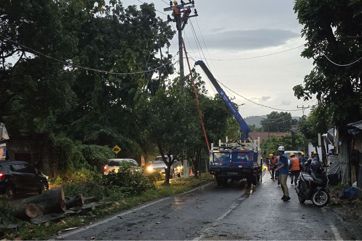 PLN Lampung Sukses Pulihkan 100% Kelistrikan Pasca Badai