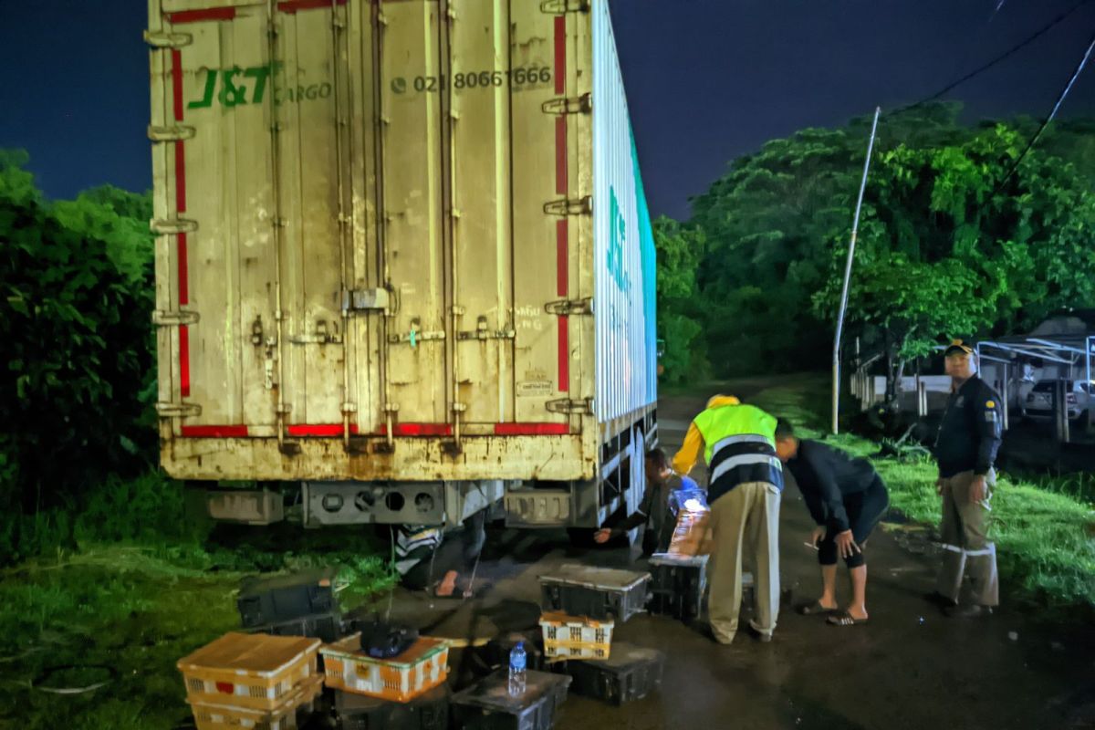 Gagalkan Penyelundupan: 982 Ekor Burung Liar Dicegah oleh Balai Karantina dan Polri di Bakauheni