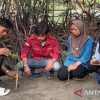 Menanam 500 Pohon Mangrove di Pulau Sebesi: Upaya Konservasi Alam yang Dilakukan oleh IMM Lamsel